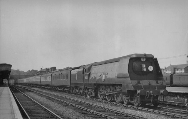 Bluebell Railway Museum