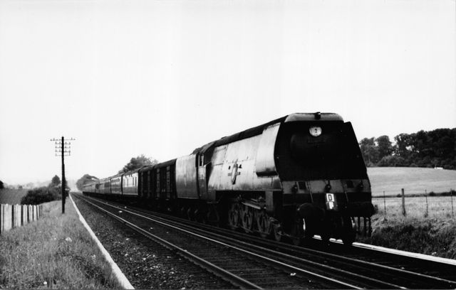 Bluebell Railway Museum