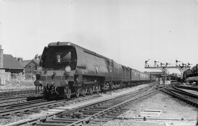 BR(S) Merchant Navy class 35028 'Clan Line' at Tonbridge, Kent with a Dover Marine (or Folkestone Harbour) - Victoria Boat Train on Saturday 04 Jul 1959 - J.H.W. Kent [000230]