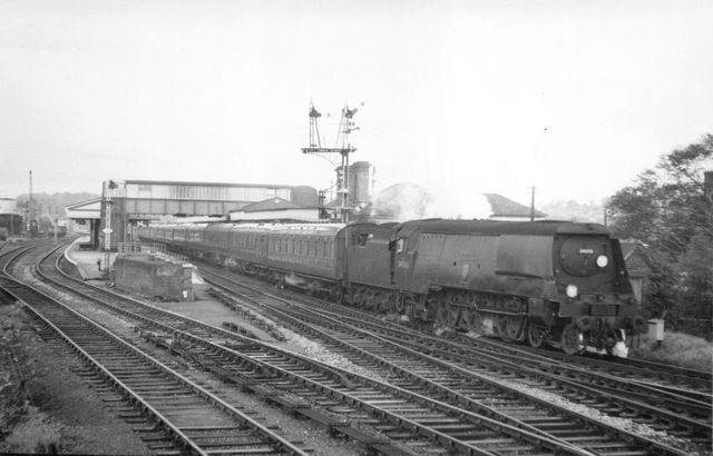 Bluebell Railway Museum