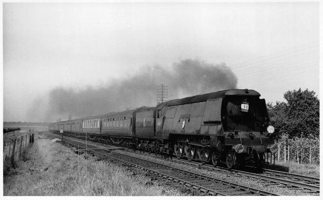 BR(S) West Country class 34017 'Ilfracombe' in Kent with a Victoria - Ramsgate service on Saturday 20 Aug 1955 - J.H.W. Kent [001791]