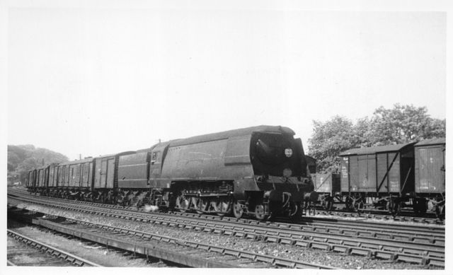 Bluebell Railway Museum