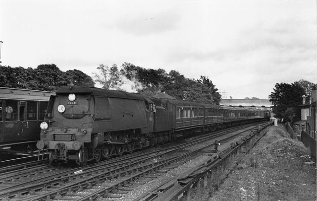 Bluebell Railway Museum