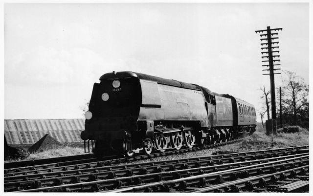 Bluebell Railway Museum