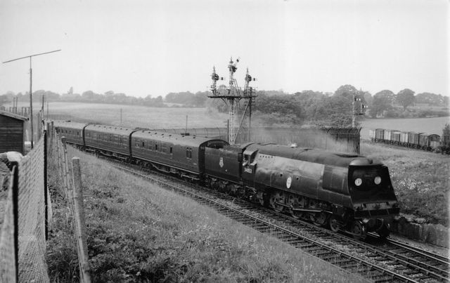 Bluebell Railway Museum