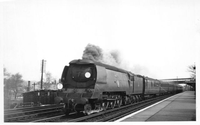 Bluebell Railway Museum