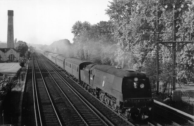 Bluebell Railway Museum