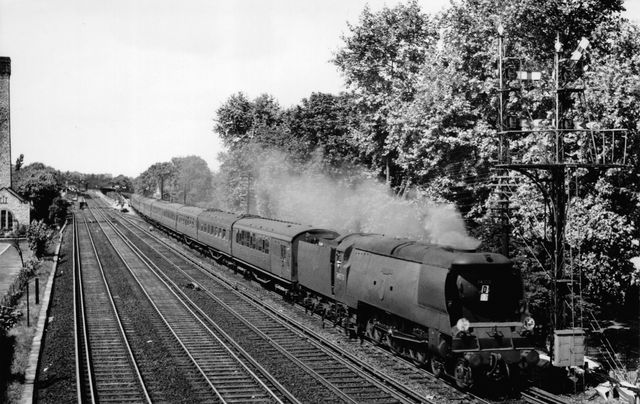 Bluebell Railway Museum
