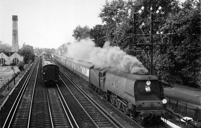 Bluebell Railway Museum