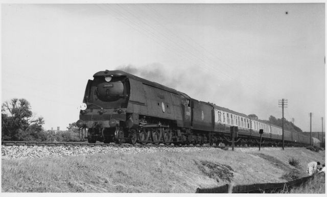 Bluebell Railway Museum