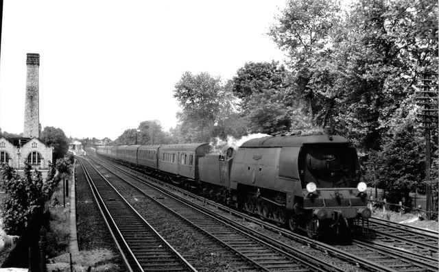Bluebell Railway Museum