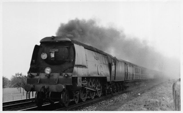 Bluebell Railway Museum