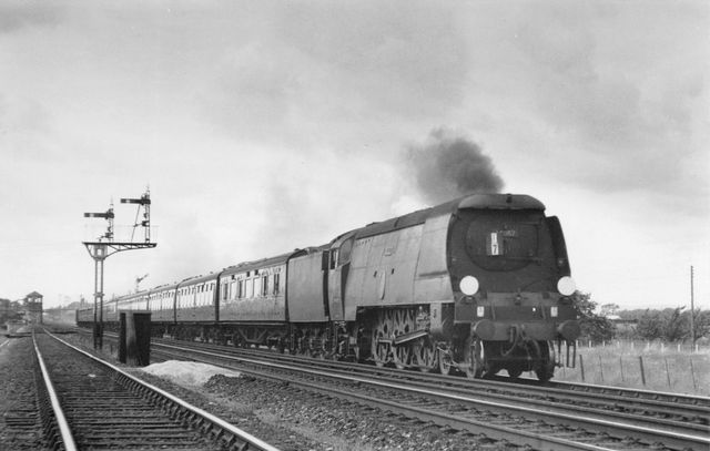Bluebell Railway Museum