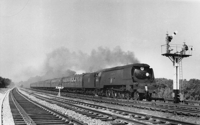 Bluebell Railway Museum