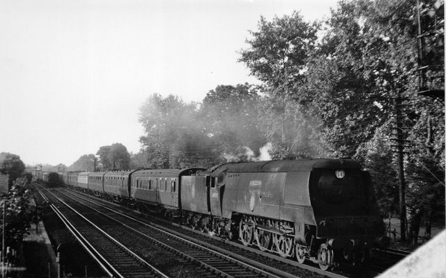 Bluebell Railway Museum
