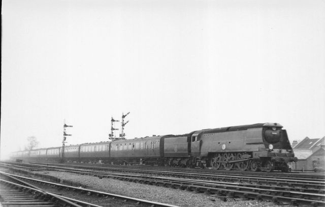 Bluebell Railway Museum