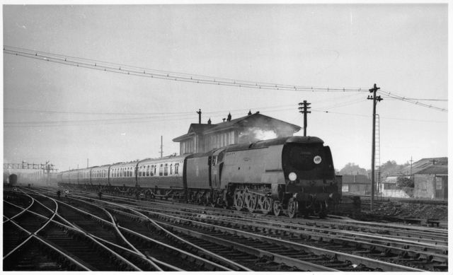 Bluebell Railway Museum