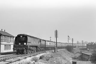 Bluebell Railway Museum