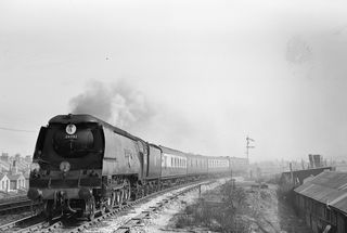 Bluebell Railway Museum