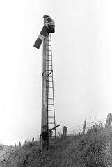 Ireland on Thursday 21 Jun 1956 - J.J. Smith [040434]