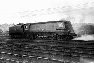 Bluebell Railway Museum