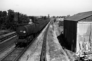 BR(S) Q1 class 33039 at Hampden Park, East Sussex on Saturday 29 Jul 1950 - J.J. Smith [040997]