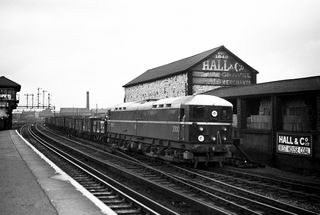 Bluebell Railway Museum