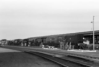 Bluebell Railway Museum