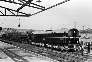 Bluebell Railway Museum