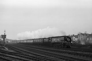 Bluebell Railway Museum