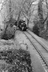 Bluebell Railway Museum