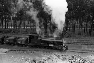 Bluebell Railway Museum