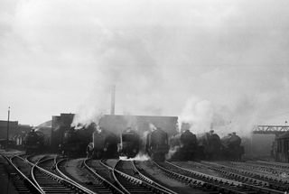 Bluebell Railway Museum