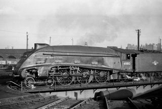 Bluebell Railway Museum