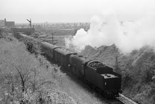 Bluebell Railway Museum