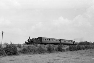 A1X class Stepney between Sheffield Park and Horsted Keynes, East Sussex on Sunday 07 Aug 1960 - J.J. Smith [042091]