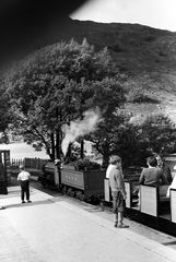 Bluebell Railway Museum