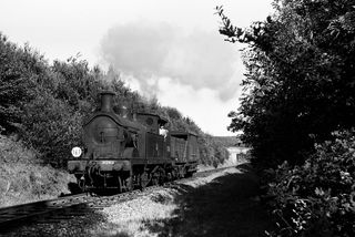 Bluebell Railway Museum