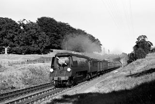 Bluebell Railway Museum
