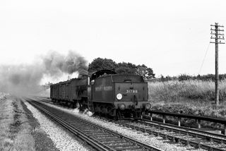 Bluebell Railway Museum
