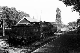 BR(S) O1 class 31370 at Biddenden, Kent with the 6.00pm Tenterden Town - Headcorn service on Wednesday 25 Jul 1951 - J.J. Smith [042463]