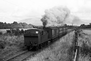 Bluebell Railway Museum