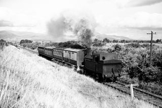 Bluebell Railway Museum