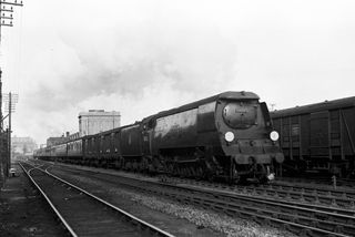 Bluebell Railway Museum