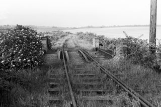 Kent on Monday 12 May 1952 - J.J. Smith [042880]