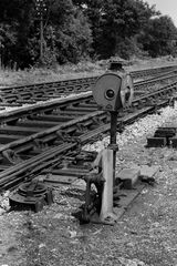 Bluebell Railway Museum