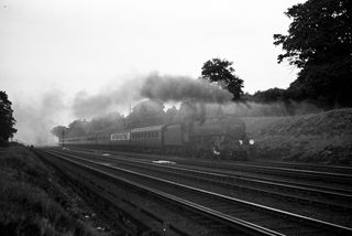 Bluebell Railway Museum