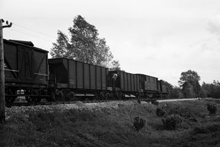 BR(S) Terrier class 32659 between Robertsbridge and Salehurst, East Sussex with a Ballast service on Sunday 28 Sep 1952 - J.J. Smith [043184]