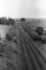 Downpatrick, Ireland on Sunday 21 Jun 1953 - J.J. Smith [043300]