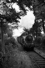 SLNCR Lough class 'Lough Melvin' in Ireland with the 2.30pm Freight Enniskillen - Sligo on Wednesday 24 Jun 1953 - J.J. Smith [043343]